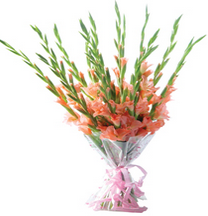 flower delivery gurgaon