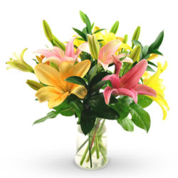 mix color asiatic lilies perfectly arranged