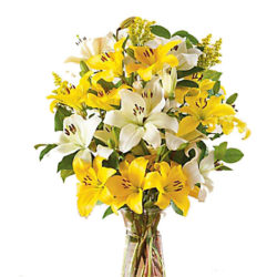 yellow rose & asiatic lilies set in a glass vase