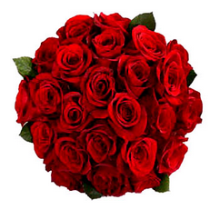 Red Rose Flowers to be Gifted on Valentines Day’s That Will Help Your Love Bloom