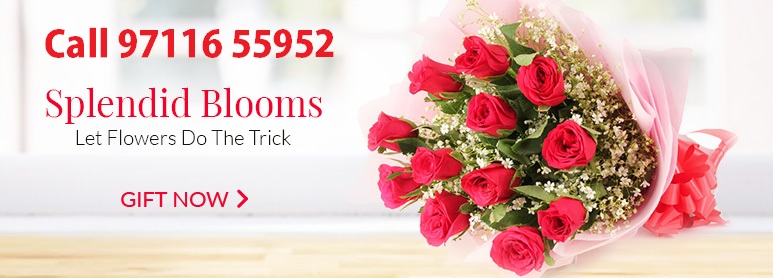 Valentine Flowers Delivery Gurgaon | Send Valentines Flower to Gurgaon